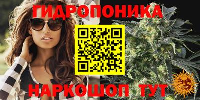 амф Будённовск