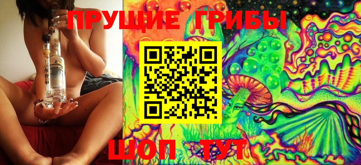 Галлюциногенные грибы мицелий Северск