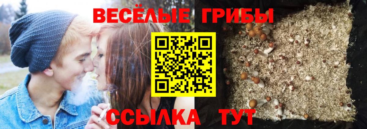 Северск  Галлюциногенные грибы Cubensis  Вход с VPN  Галлюциногенные грибы Psilocybe 