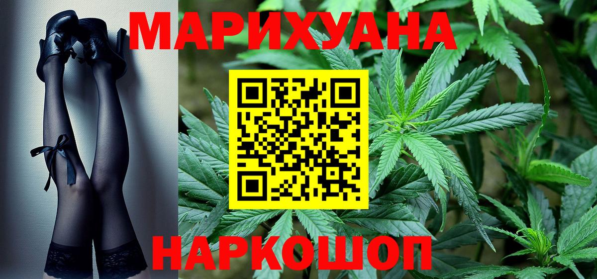 Конопля сатива Северск